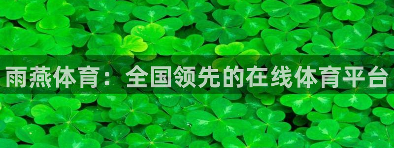 搜球8直播nba直播：雨燕体育：全国领先的在线体育平台