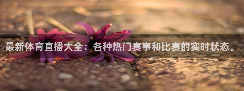 nba搜球吧直播：最新体育直播大全：各种热门赛事和比赛的实时状态。