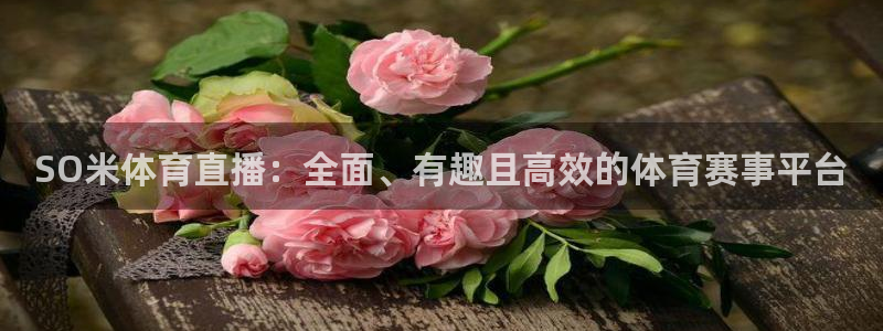 搜球吧直播网：SO米体育直播：全面、有趣且高效的体育赛事平台
