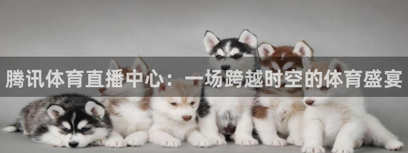 搜球吧在线直播免费观看：腾讯体育直播中心：一场跨越时空的体育盛宴
