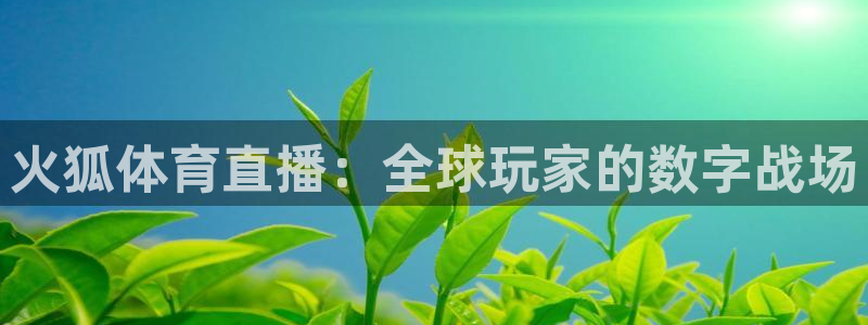 搜球吧nba在线直播：火狐体育直播：全球玩家的数字战场