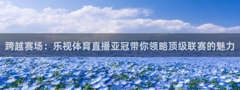 搜球直播吧：跨越赛场：乐视体育直播亚冠带你领略顶级联赛的魅力